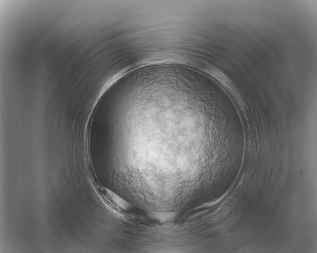 X0000058801242200510282055
