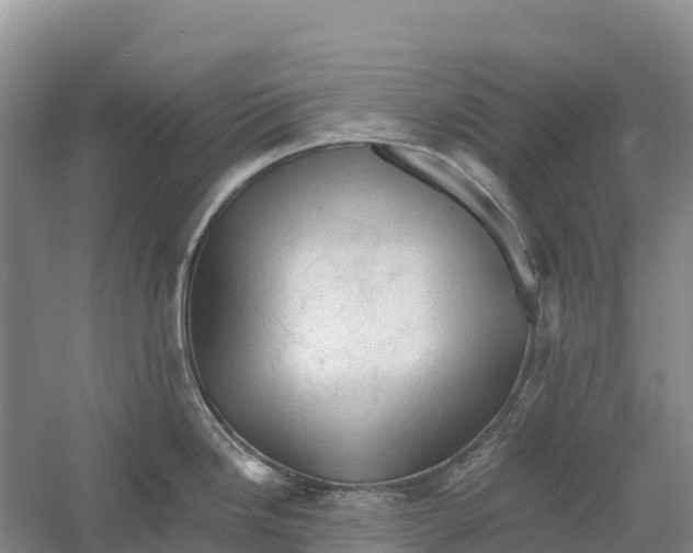 X0000058801246200510282055