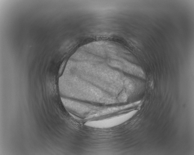 X0000058801252200510282054