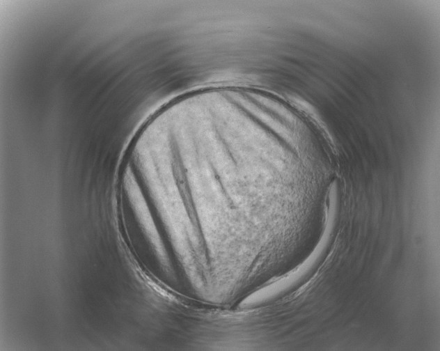 X0000058801288200510282054