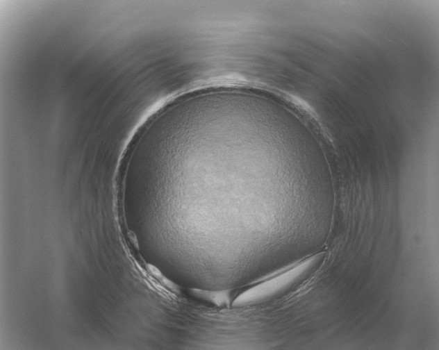 X0000058801326200510282053