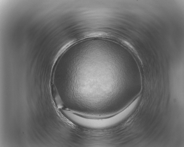 X0000058801330200510282053