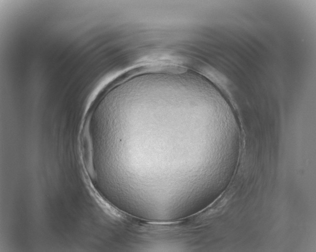 X0000058801344200510282054