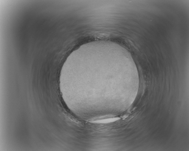X0000058801345200510282053