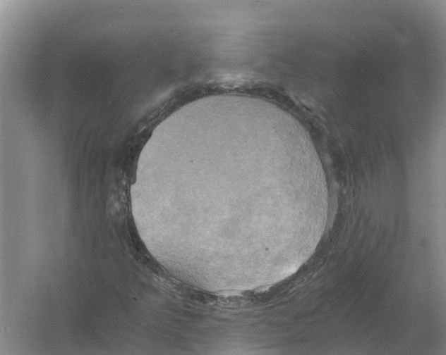 X0000058801349200510282053