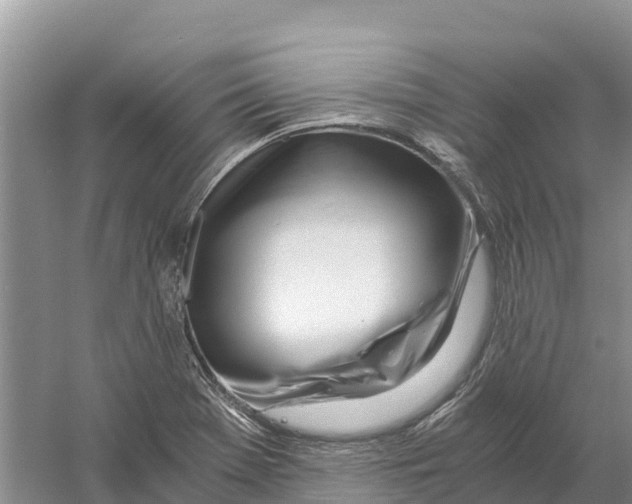 X0000058801369200510282052