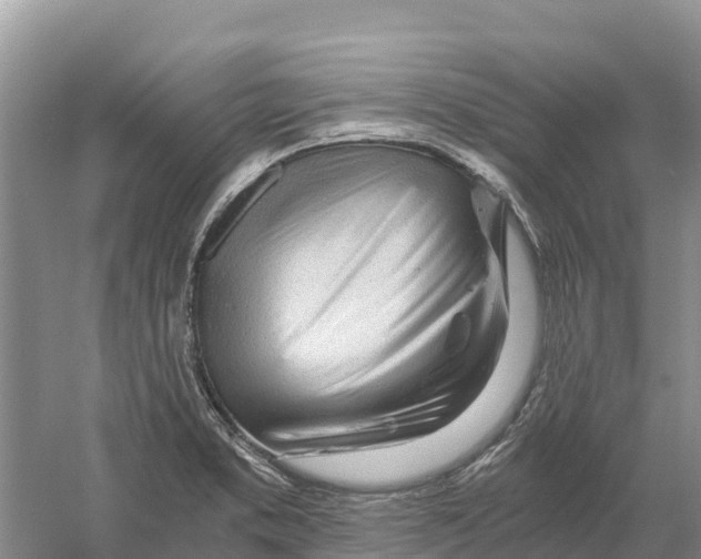 X0000058801373200510282052