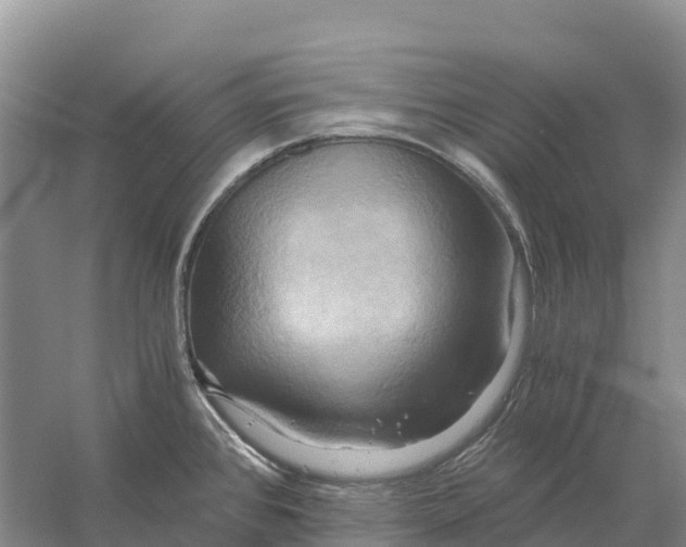 X0000058801384200510282052