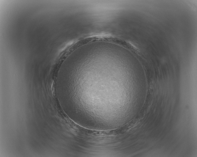 X0000058801398200510282051