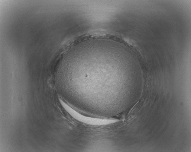 X0000058801445200510282051