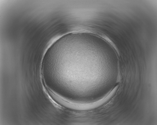 X0000058801485200510282050