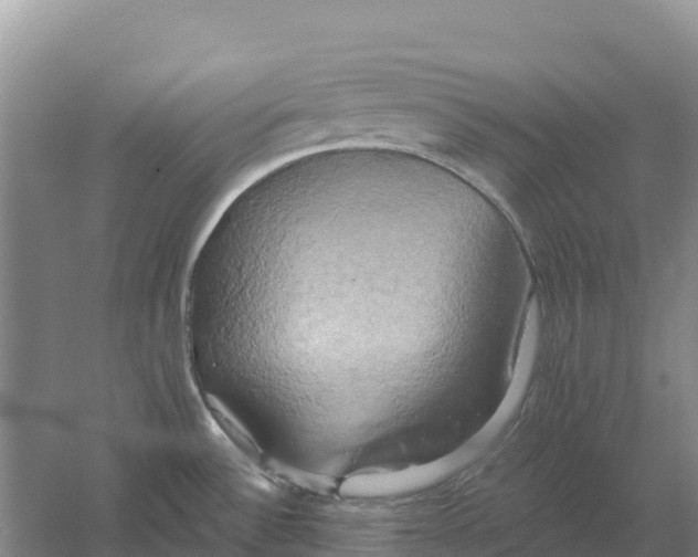 X0000058801532200510282050