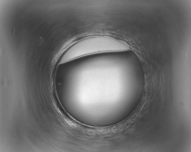X0000058810005200509300952