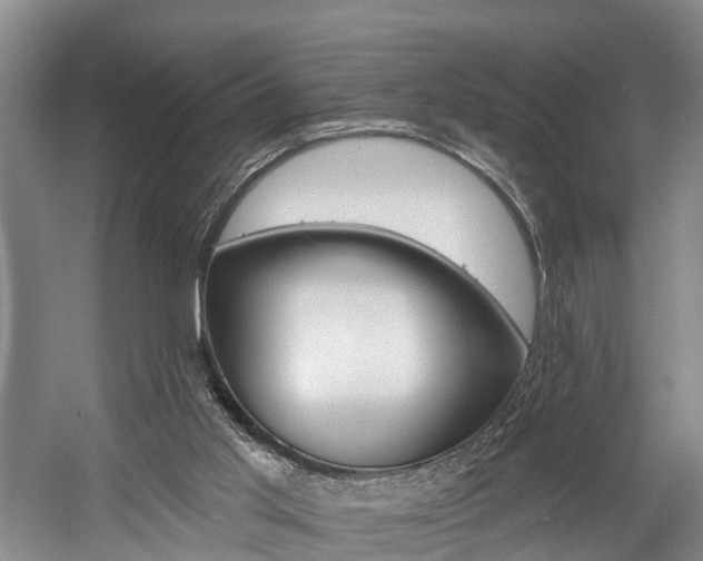 X0000058810013200509300952