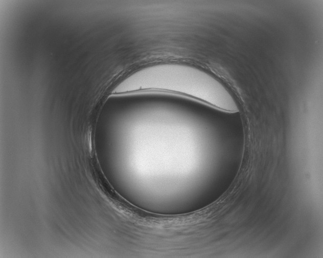 X0000058810021200509300952