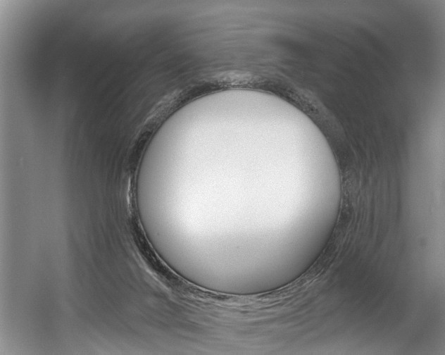 X0000058810024200509300952