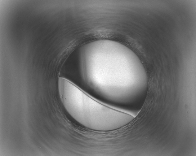 X0000058810027200509300952