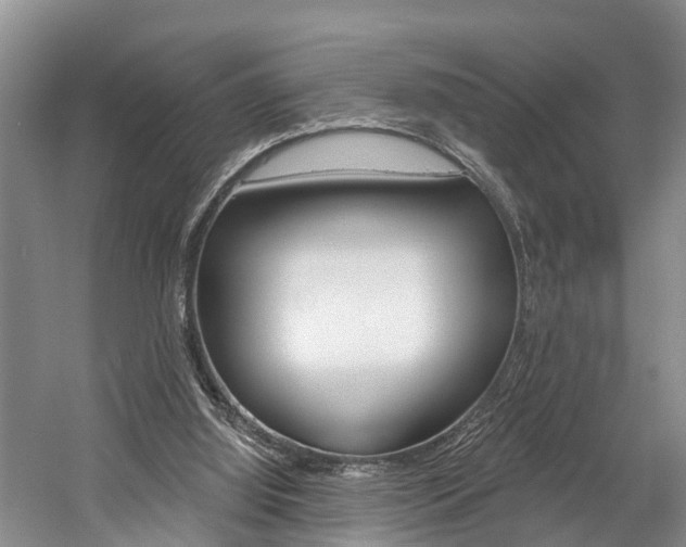 X0000058810060200509300951