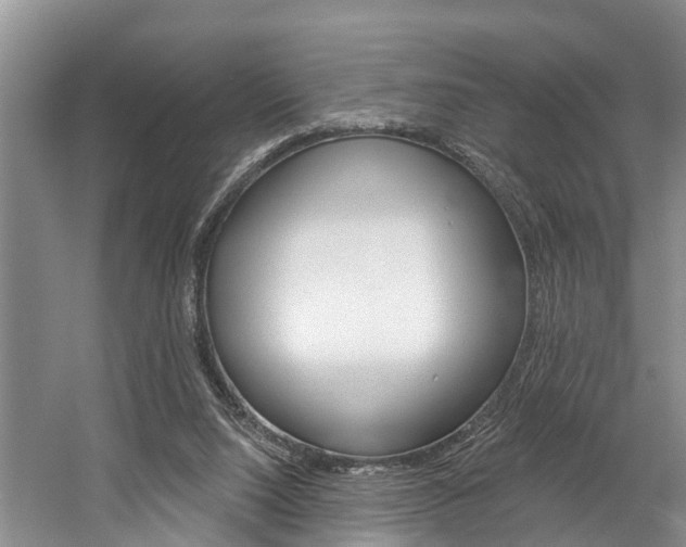 X0000058810064200509300951