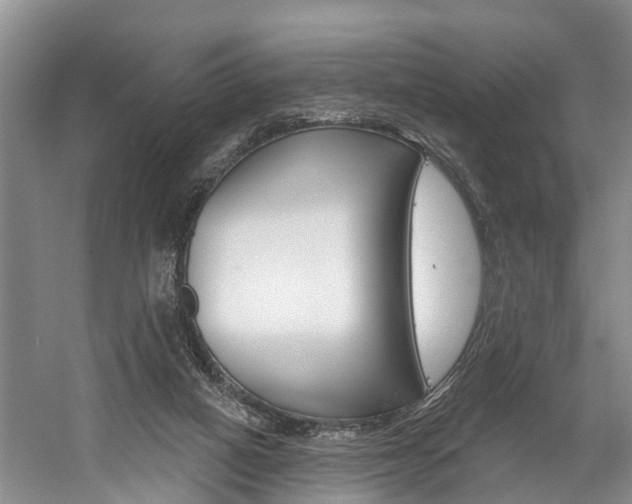 X0000058810066200509300951