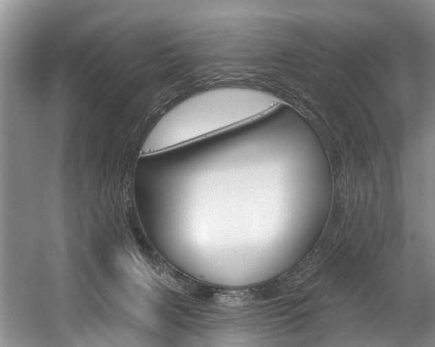 X0000058810079200509300951