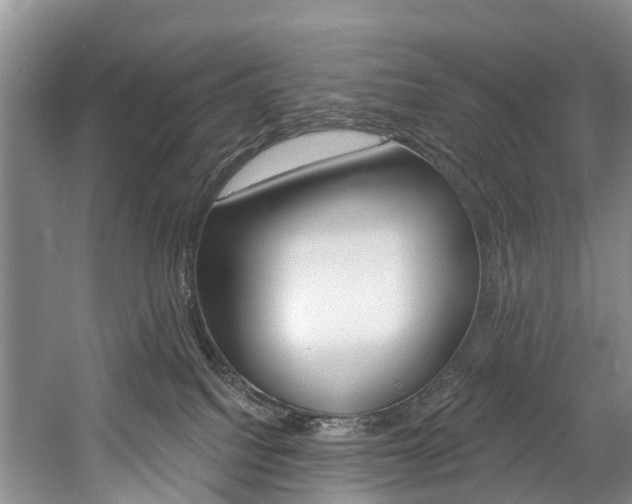 X0000058810088200509300951
