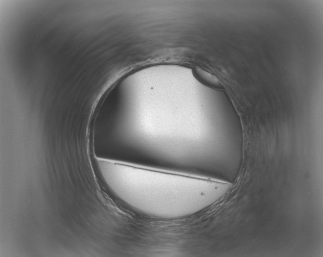 X0000058810100200509300951