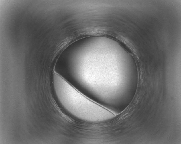 X0000058810105200509300950