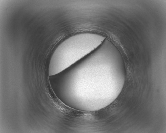 X0000058810114200509300950