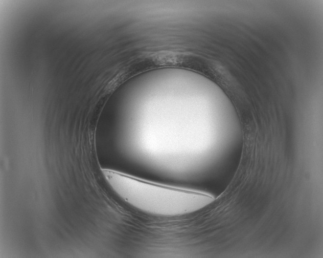 X0000058810125200509300950