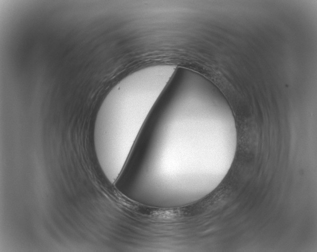 X0000058810131200509300950