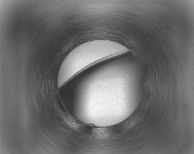 X0000058810139200509300950