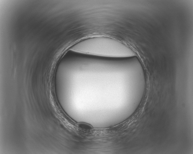 X0000058810145200509300949