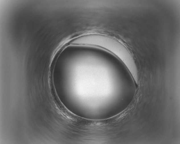X0000058810152200509300949