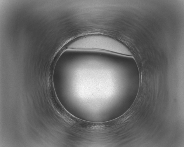 X0000058810156200509300949