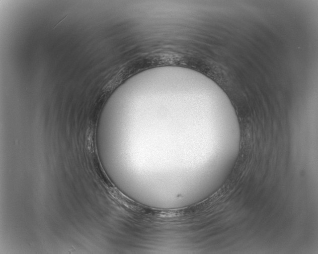 X0000058810177200509300950