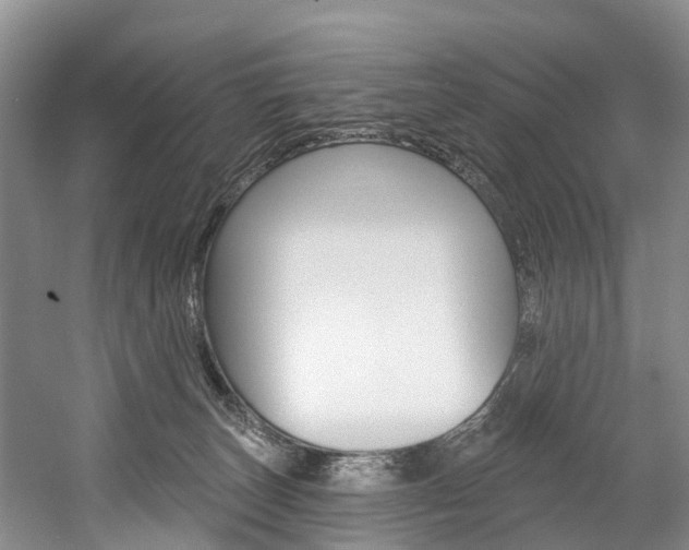 X0000058810179200509300950
