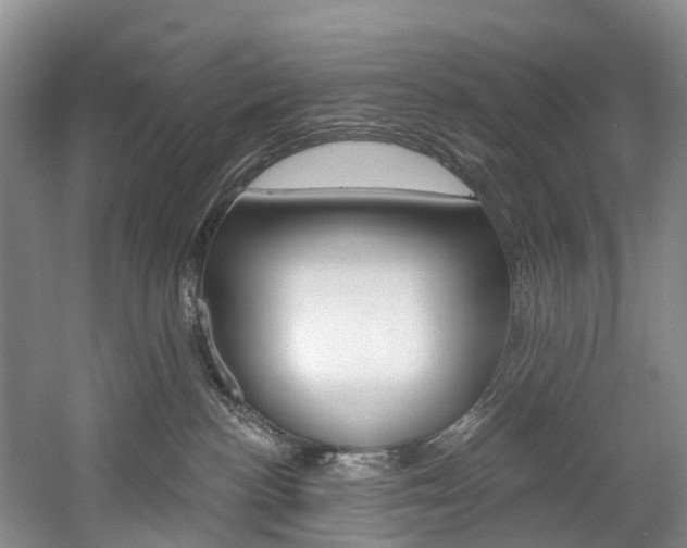 X0000058810188200509300950