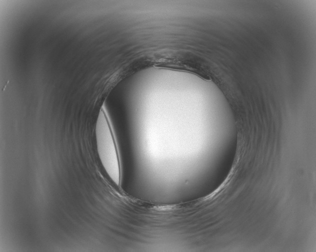 X0000058810192200509300950