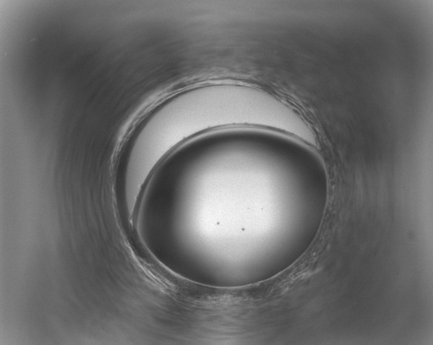 X0000058810197200509300949