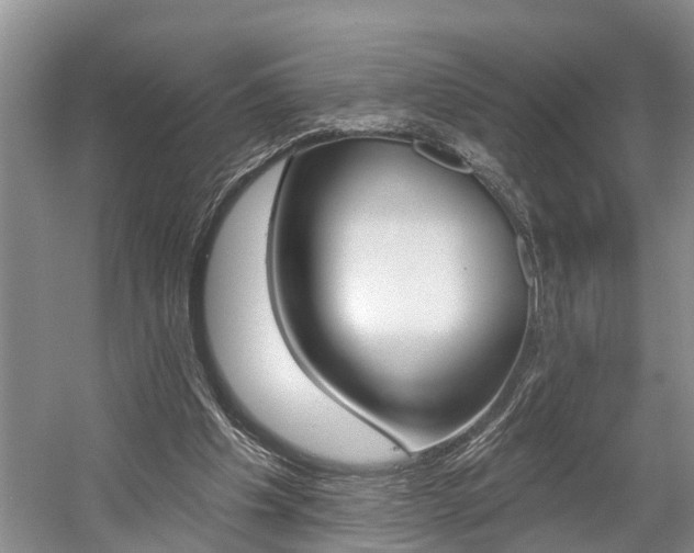 X0000058810201200509300949