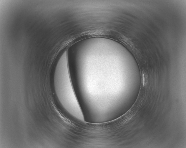 X0000058810205200509300949
