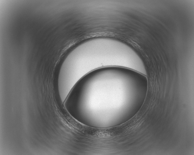 X0000058810207200509300949