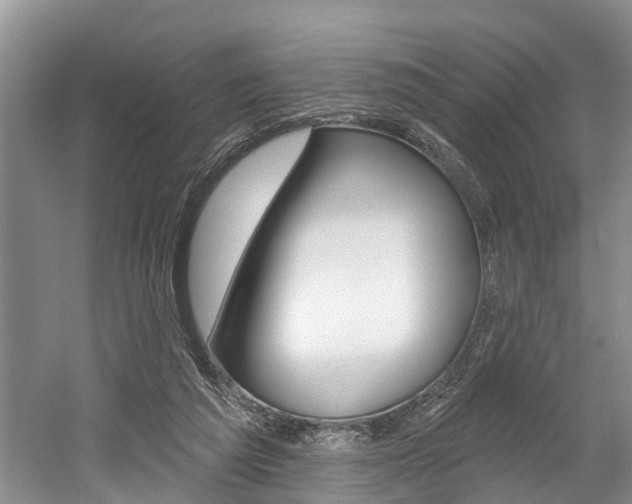 X0000058810209200509300949