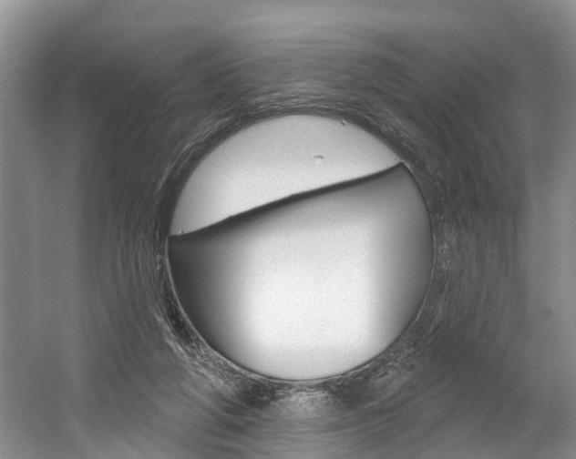 X0000058810210200509300949