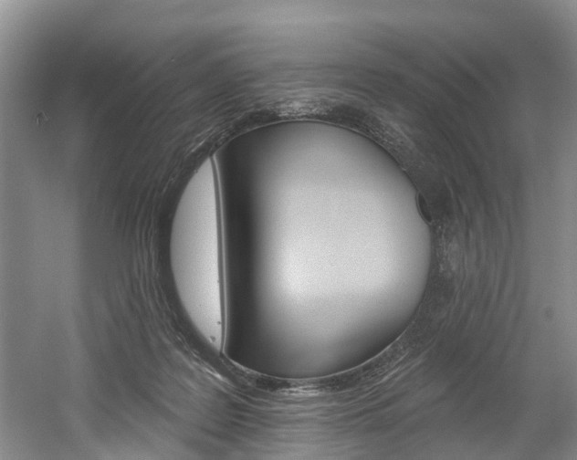 X0000058810219200509300949