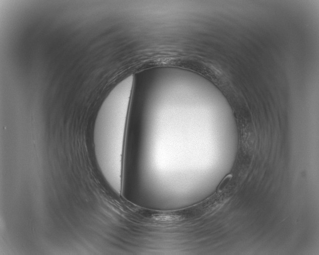 X0000058810221200509300949