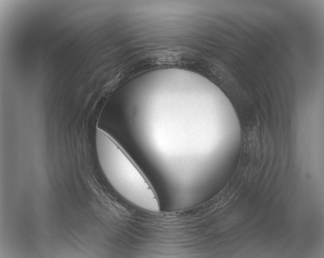 X0000058810228200509300948