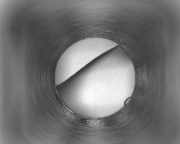 X0000058810230200509300948