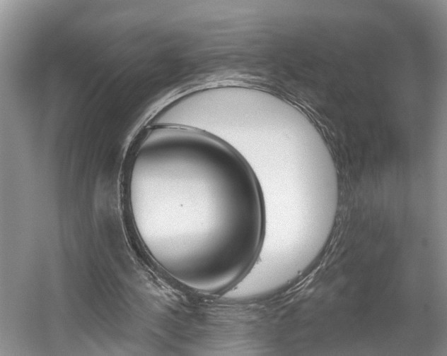 X0000058810244200509300947